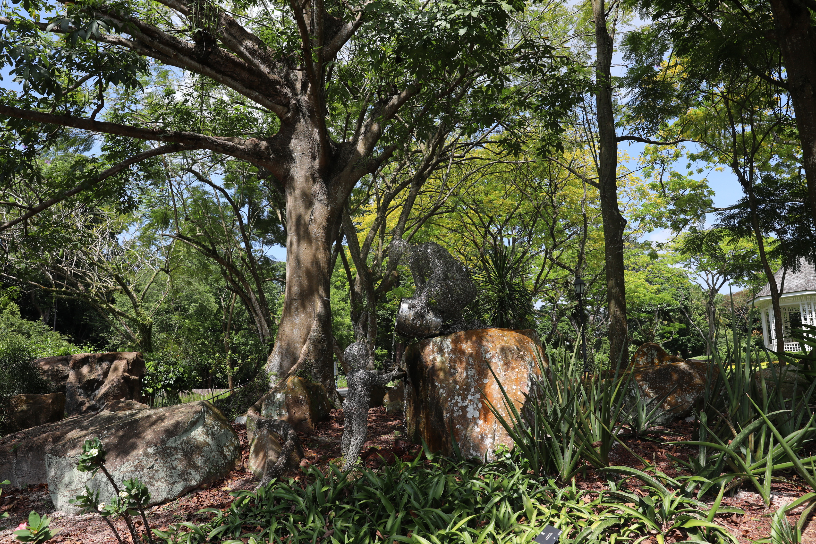 2020 02 03 15 00 28 Canon EOS 5D Mark IV 0029